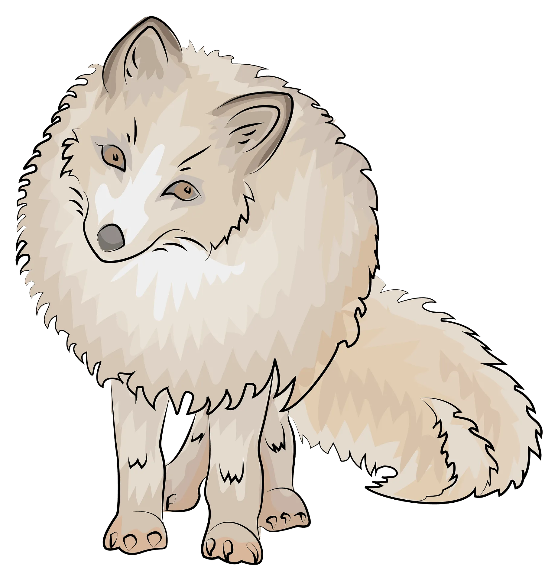 Arctic fox on a mountain peak, breathtaking view png